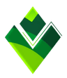 Vasset Global Limited
